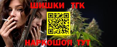 прущие грибы Владикавказ