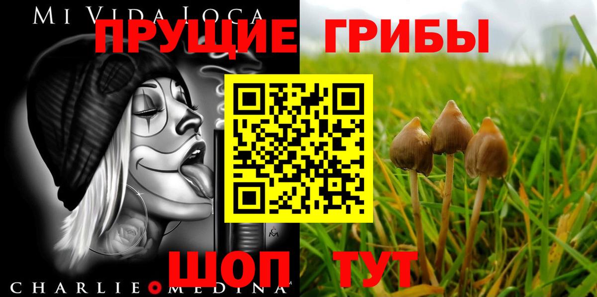 Галлюциногенные грибы ЛСД Красноярск