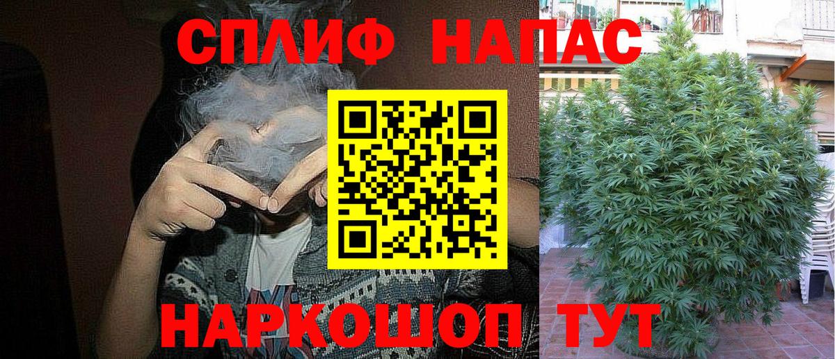 Конопля AK-47 Красноярск
